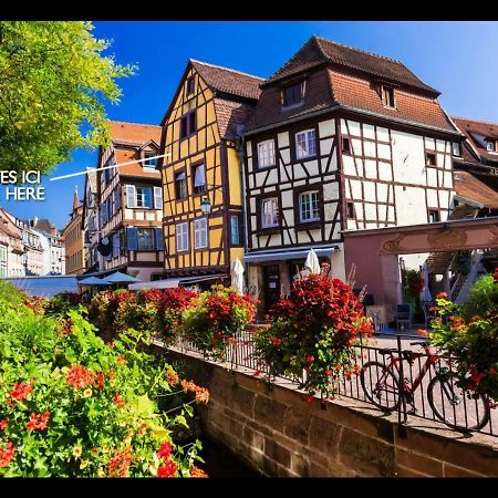 Le Studio 1586 - Centre Historique Colmar Luaran gambar