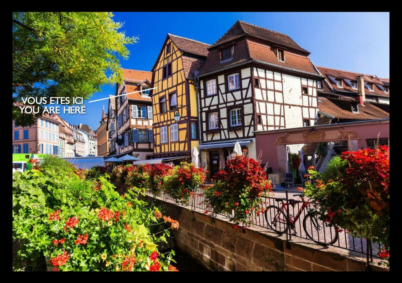 Le Studio 1586 - Centre Historique Colmar Luaran gambar